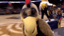 pelicans mascot gif nemo pelicans gifs tenor