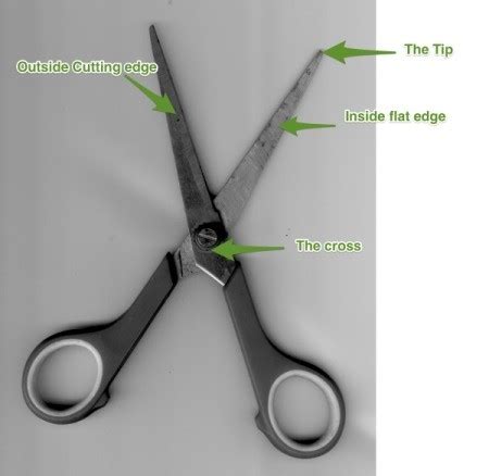 Sharpening Scissors | ThriftyFun