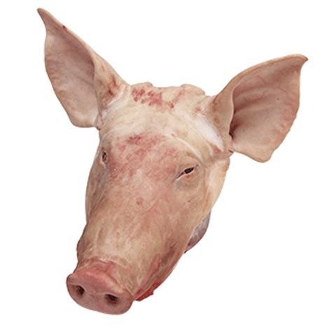 pork  head duntower corporation