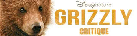 Critique du film: Grizzly (par Disney Nature) - Blog USA Passion Amérique 100% Etats-Unis