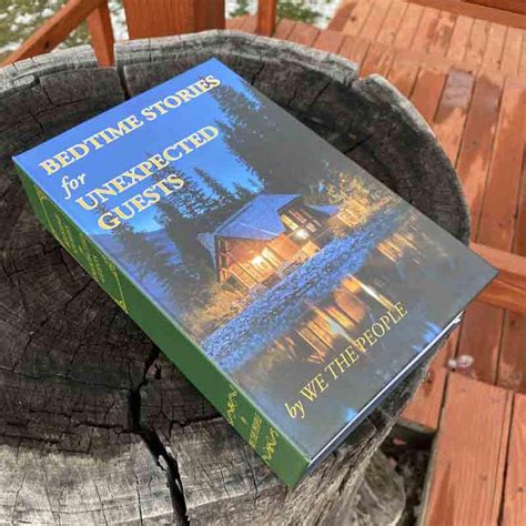 Bedtime Stories for Unexpected Guests Book Safe - VerseVida