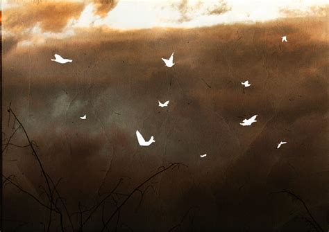 sigur ros birds by waguzman on DeviantArt