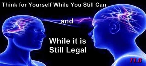 Scientists Create Mind-Reading Software That Projects Thoughts to ...