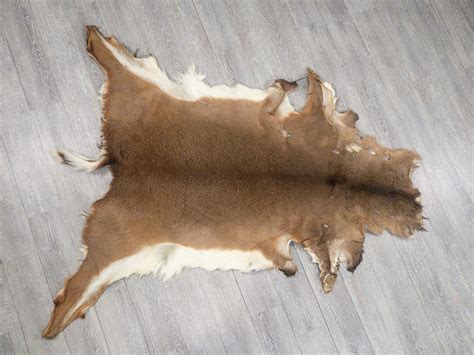 Whitetail Deer Hide Rugs | Bryont Blog