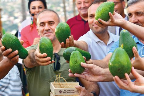Alanya’nın en güzel avokado bahçesi seçildi | Antalya Haberleri