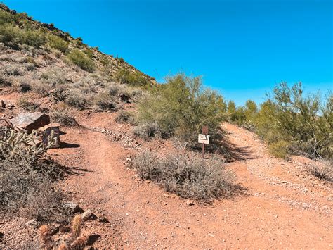 Sunrise Peak Hike Via Sunrise Trail in Scottsdale