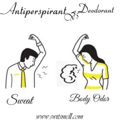 Deodorant vs Antiperspirant Difference, Facts - SwitSmell