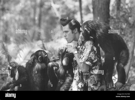 Ace Ventura - Jetzt Wird's Wild Ace Ventura: When Nature Calls ...