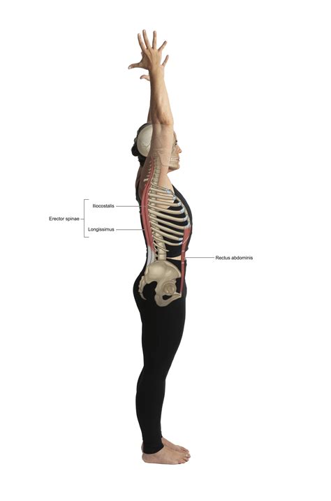 Lower Back Herniated Disc Exercises
