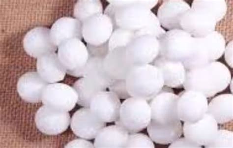 camphor  naphthalene      health camphor