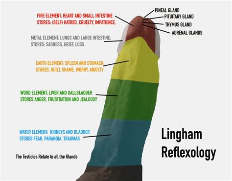 Oque E Massagem Lingam - Lingam massage | Tantra - Yoni massage