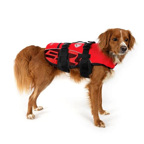 What Is The Best Life Vest For Dogs
