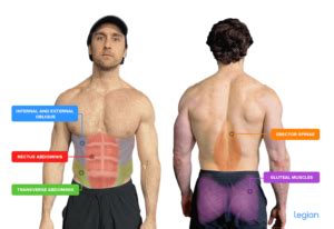 How to Pallof Press: Form & Variations | Legion