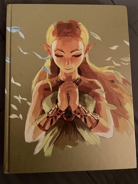 Just bought this BOTW official extended guide from my local GameStop ...
