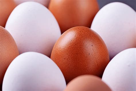 Brown Eggs vs. White Eggs: Is There a Difference?