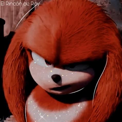 knuckles  echidna  sonic