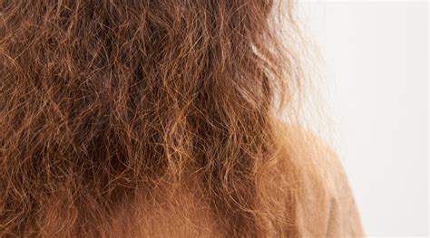 frizzy hair home remedies thatll   hk vitals