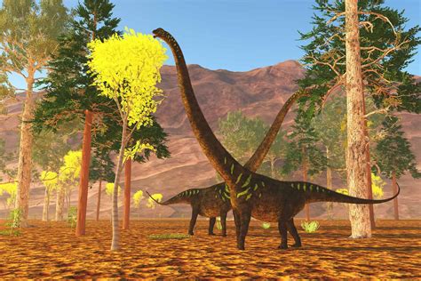 12 Herbivore Dinosaurs That Fed on Plants - A-Z Animals