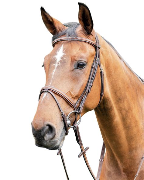 Prestige Thin Leather Bridle with Soft Leather Inserts: 3E087 ...