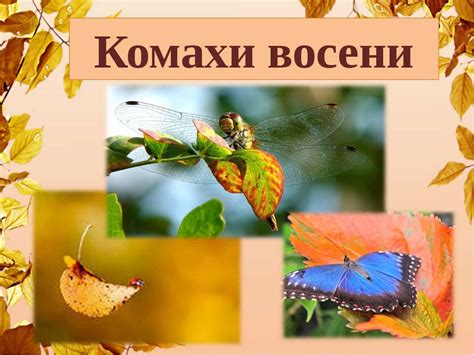 Комахи восени - презентація з природознавства