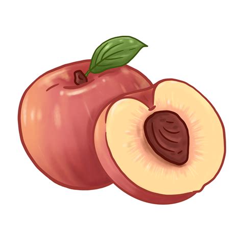 Illustration of peach fruit 26852673 PNG