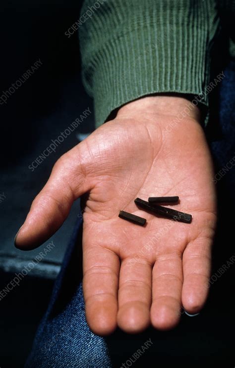 Hashish - Stock Image - M371/0020 - Science Photo Library