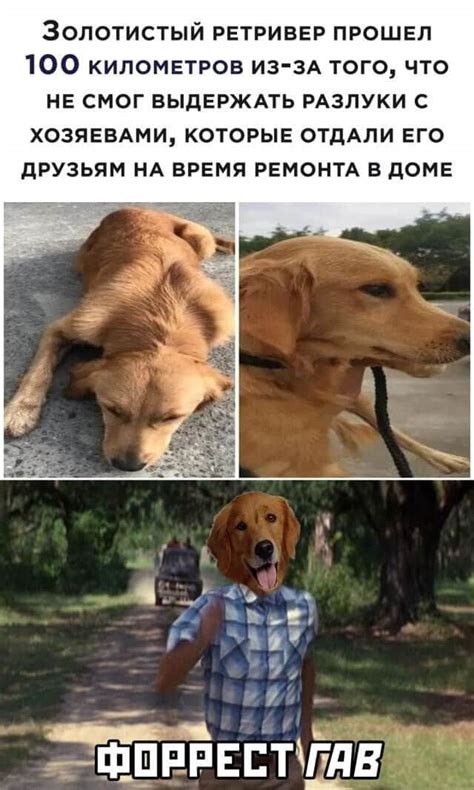 Смешные фото и картинки! | Ололо - смешные картинки и веселые истории
