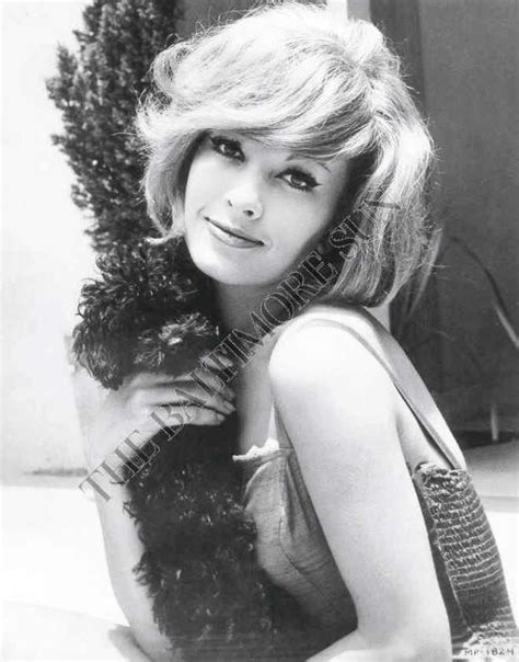 Dany Saval
