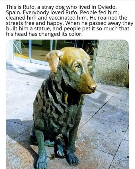 Blessed statue : r/blessedimages