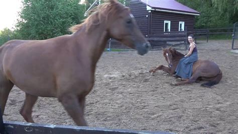 Танец с двумя лошадьми/Dance with two horses - YouTube