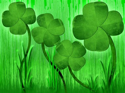 10 Top Four Leaf Clover Wallpaper FULL HD 1920×1080 For PC Background 2024