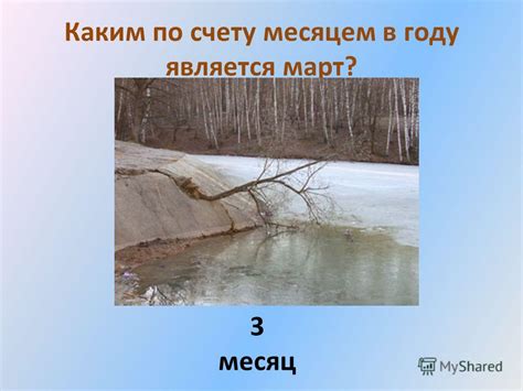 Презентация на тему: "ВИКТОРИНА ВРЕМЕНА ГОДА Сколько месяцев в году ...