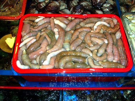 leilanis japanese adventure pusan fish market