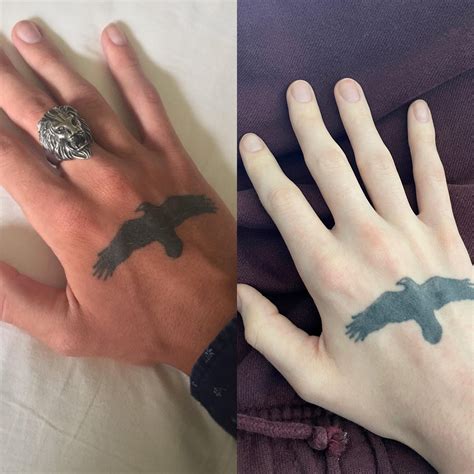 hand timeline : r/transtimelines