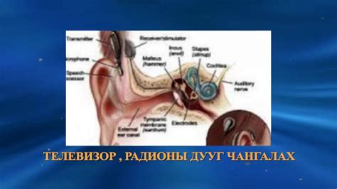 Сонсголын бэрхшээлтэй болохоос урьдчилан сэргийлэх 2012 on - YouTube