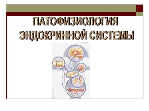 Патофизиология эндокринной системы - презентация онлайн