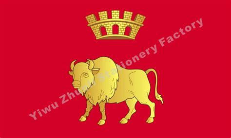 Belarus Hrodna Voblasts Escut Oblast Grodno Flag 150X90cm (3x5FT) 120g ...