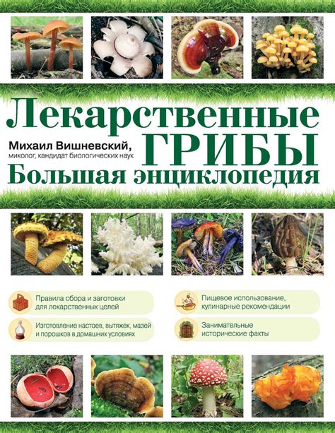 Книга Лекарственные грибы. Большая энциклопедия скачать бесплатно pdf ...