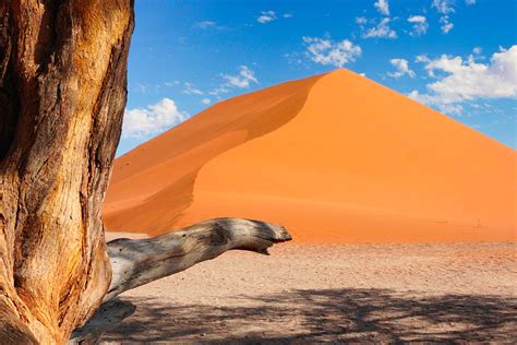 Stream These 4K Travel Videos For A Virtual Vacation - TravelCoterie
