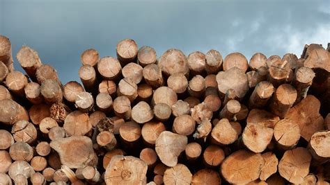 The many reasons wood is good - IKEA