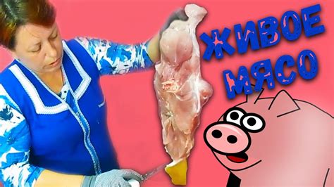 Мясо парное и мясо охлажденное - YouTube