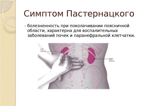 Семиотика урологических заболеваний. Методы обследования урологических ...