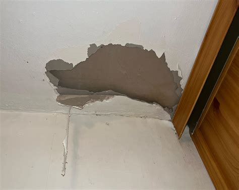 Roof leaked last year, this is in the corner of the room. I have no
