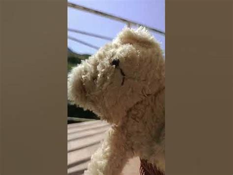 Куми Куми с игрушками #мультик #мягкиеигрушки #игрушки #мультики - YouTube