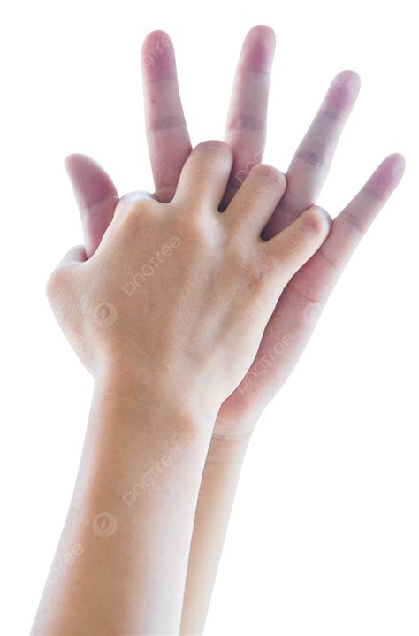 รูปมือชายและหญิง PNG , ท่าทางคู่, มือ, วันวาเลนไทน์ภาพ PNG สำหรับการ ...