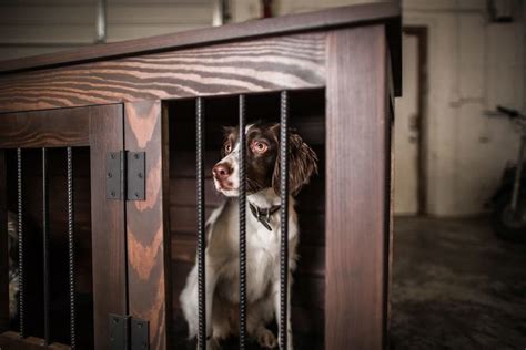 6+ Wooden Dog Crates That Look Like Furniture