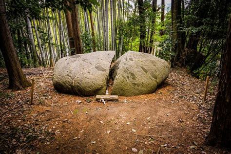 premium photo  nara