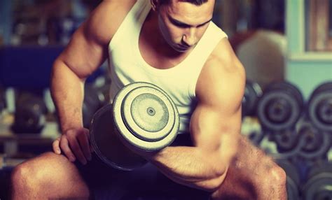 Wat is een endomorf? • Menspower.nl