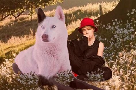 Красная панамка — фанфик по фэндому «Bangtan Boys (BTS)»