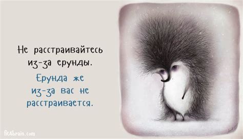 Совет дня